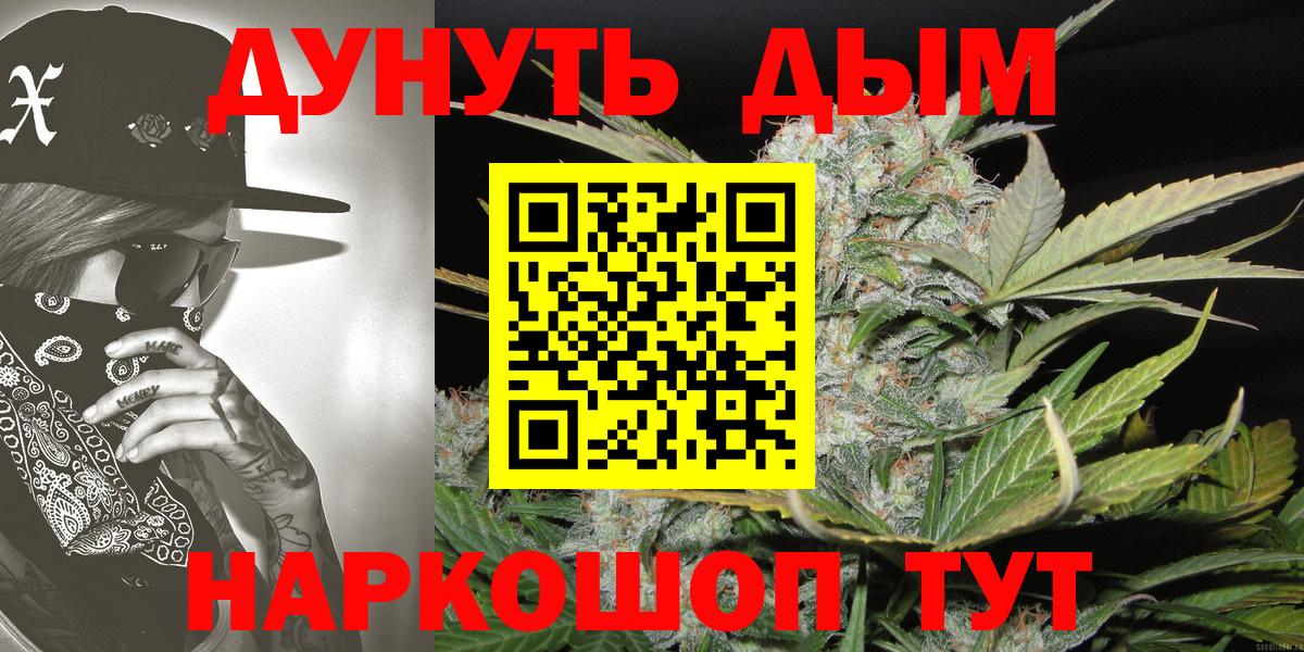 Каннабис план  Каннабис сатива  Каннабис Ganja  Норильск  Вход с VPN 